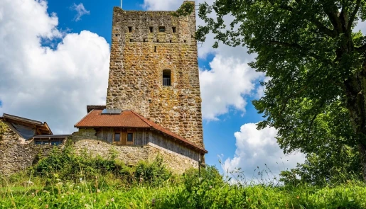 Feuchte Wände Ursachen in der Gemeinde Sulzberg kennen