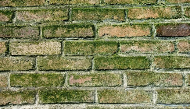 hw mauertrockenlegung feuchte waende schimmel