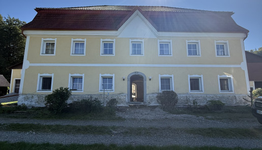 Mauertrockenlegung Burghausen